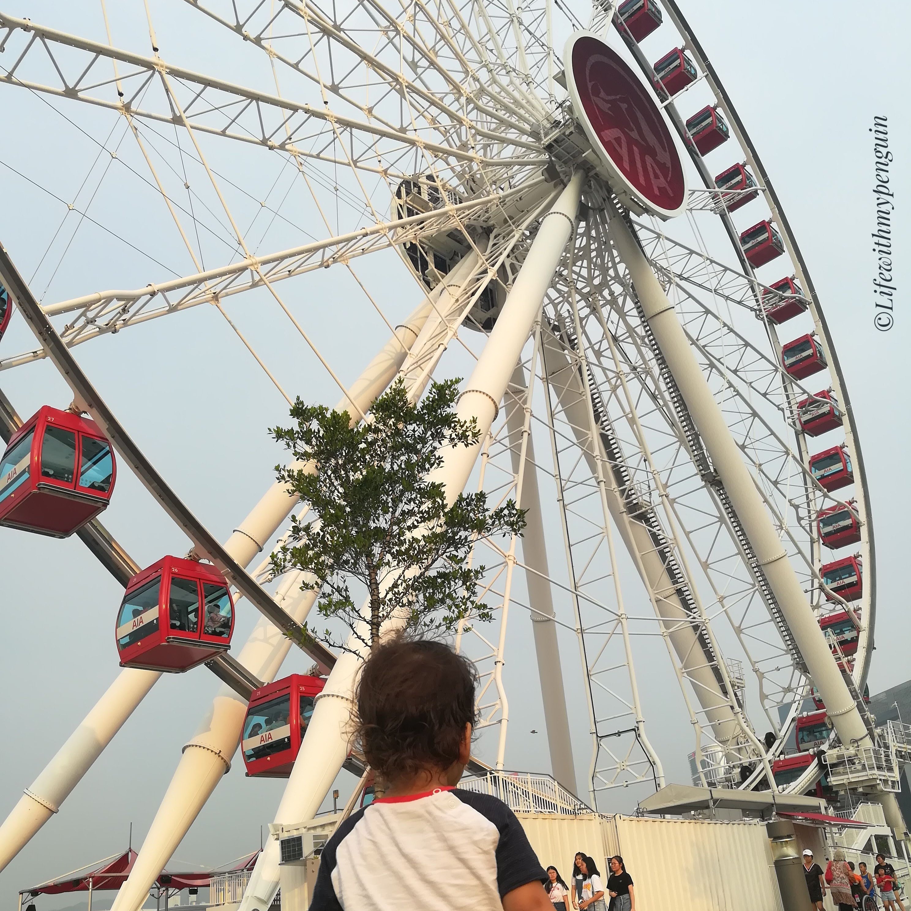 Travel ferris wheel