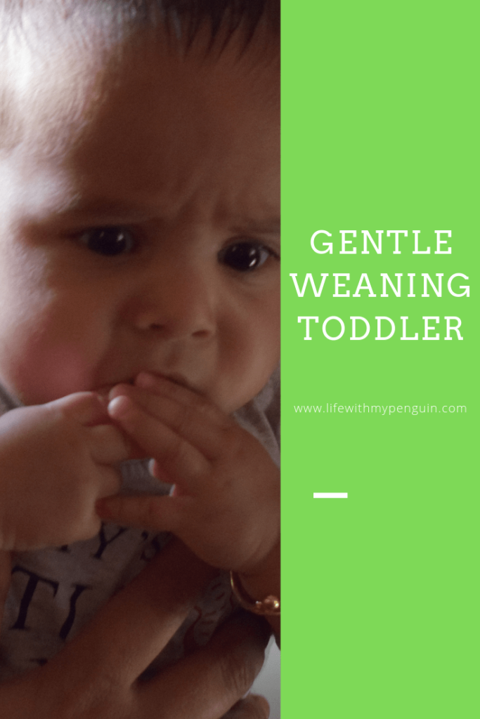 gentle weaning off toddler