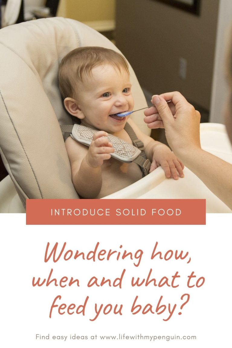 How to introduce solid food for baby? - Life with my Penguin